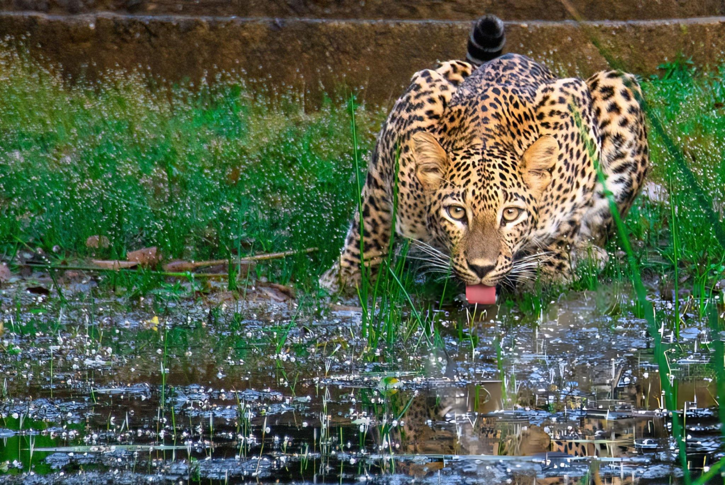 優和ランカ旅行へようこそ